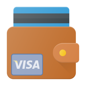 Visa Forex brokers
