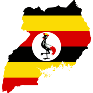 Forex trading brokers in uganda